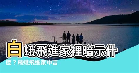 白蛾飛進家裡|家中飛蛾暗示什麼？專家解析